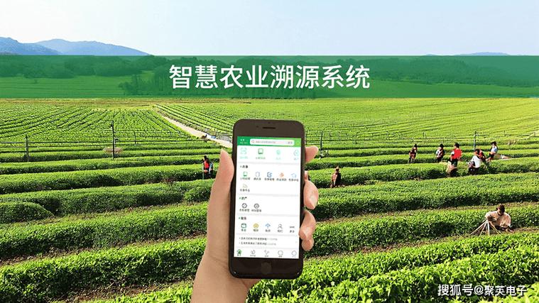 系统集成物联网,大数据,云计算,区块链等多种技术,通过数据采集,处理
